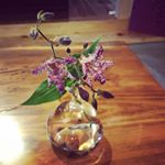 オフィスのお庭のホトトギスがやっと咲きました 隣のおばちゃんから、これはね、大切なお花だから大切にしてねって引っ越し当初言われたので、みんなで踏まないようにしていました。思っていたよりグロテスクやけどかわいいね! #ホトトギス#お花#flower#庭に咲いたよ#ホタルイカみたい オフィスのお庭のホトトギスがやっと咲きました 隣のおばちゃんから、これはね、大切なお花だから大切にしてねって引っ越し当初言われたので、みんなで踏まないようにしていました。思っていたよりグロテスクやけどかわいいね! #ホトトギス#お花#flower#庭に咲いたよ#ホタルイカみたい