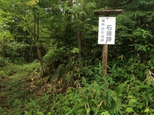 IMG_5365 - コピー