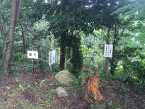 IMG_5347 - コピー