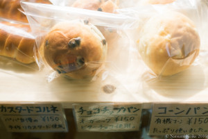 160927-dscf3379-blog