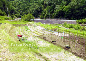farmroots